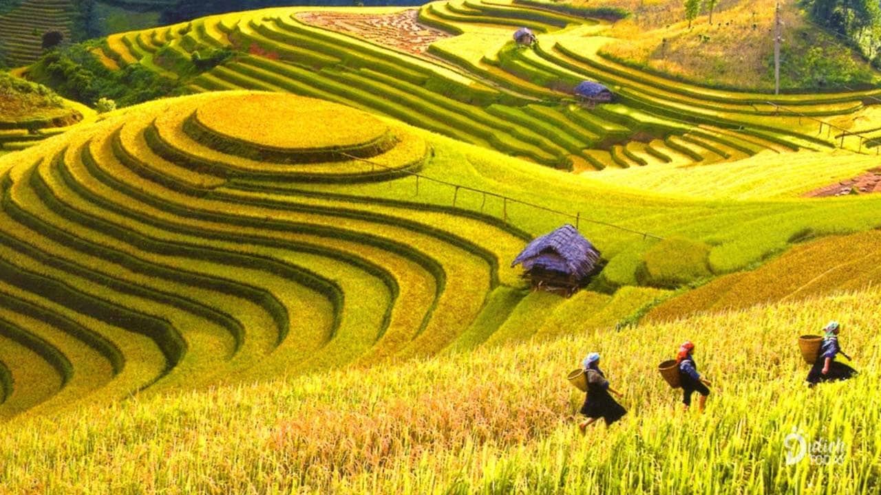Vietnam