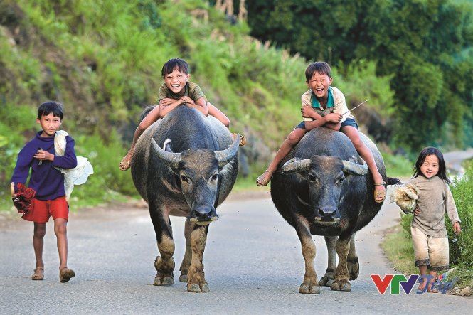 Multi Country