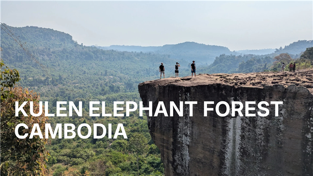 Kulen Elephant Forest